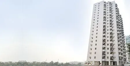 Palm Studios